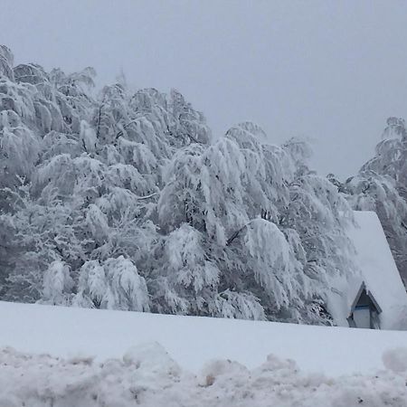 Villa Golija Vikendica Cesta Vrela à Raška Extérieur photo