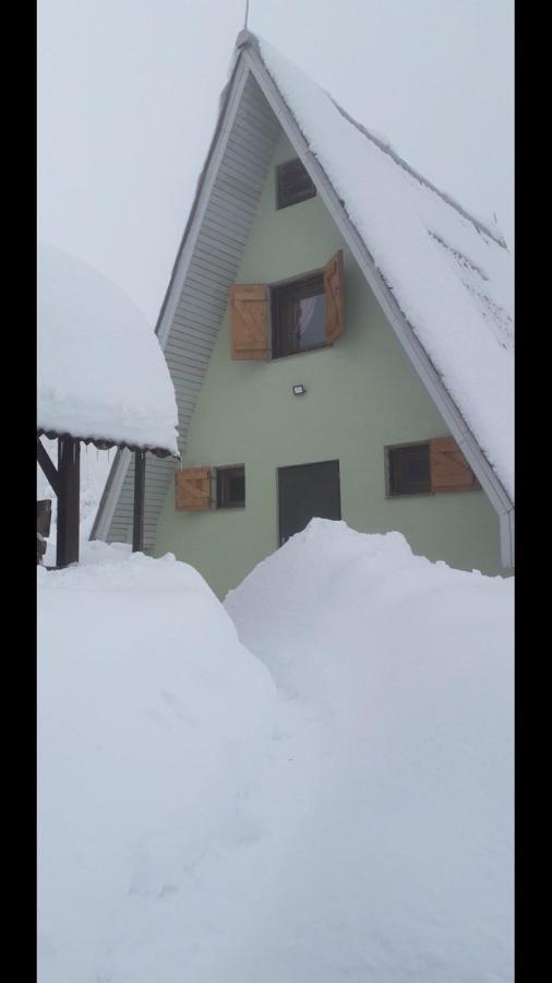 Villa Golija Vikendica Cesta Vrela à Raška Extérieur photo