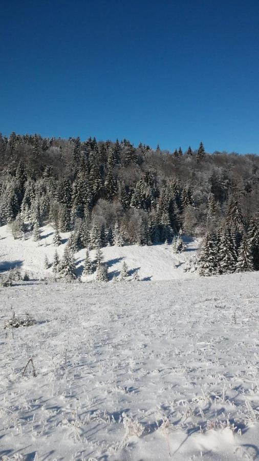 Villa Golija Vikendica Cesta Vrela à Raška Extérieur photo