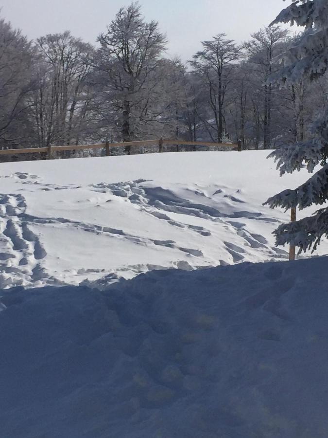 Villa Golija Vikendica Cesta Vrela à Raška Extérieur photo